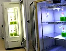 schimbarea lumii