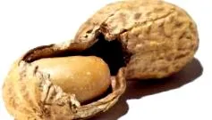 sănătoase