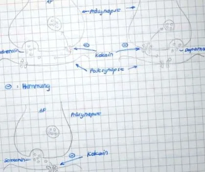 neurofiziologie