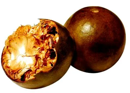 momordica