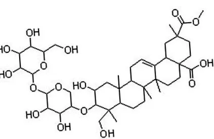 momordica