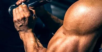 musculară musculară