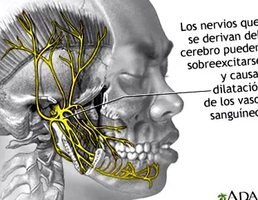 medlineplus
