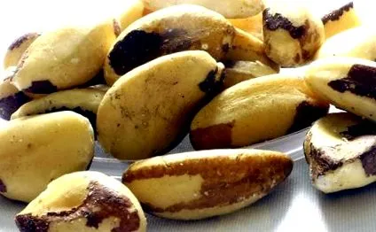 ядки