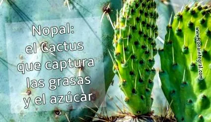 fogyásban