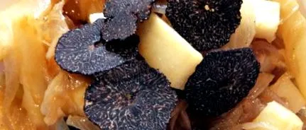 Yosa Sobremonte