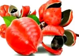 scade cumpărarea