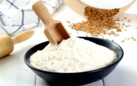 paleo