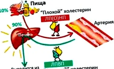 drojdie