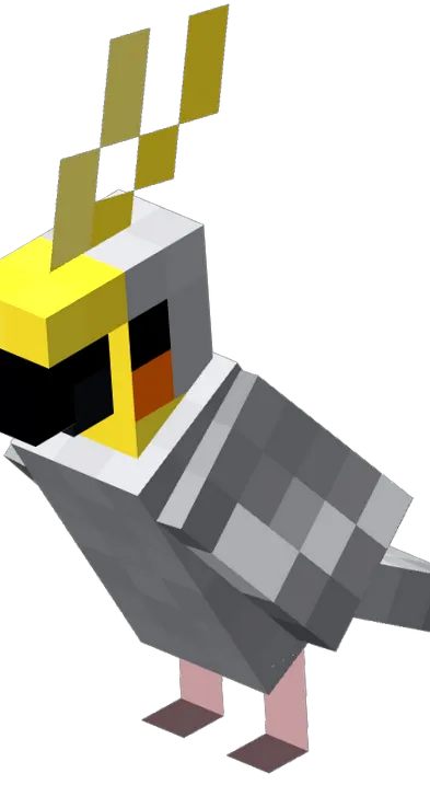 wiki