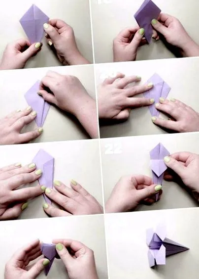 instrucțiuni