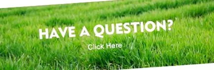 органски слабеење