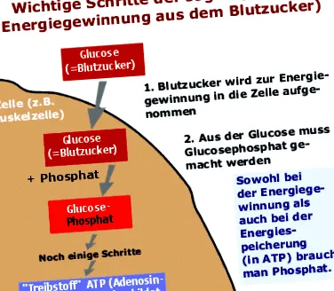 foszfát