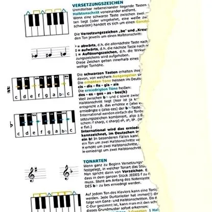megrendelés