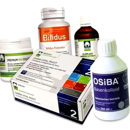Candida albicans