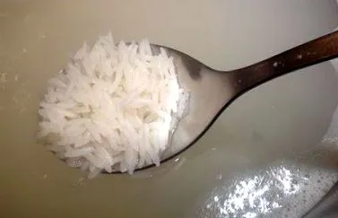corpului