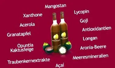 mangostan