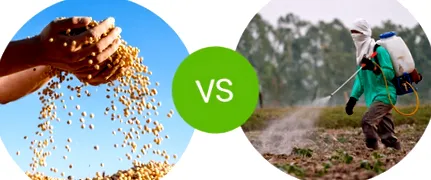 muesli