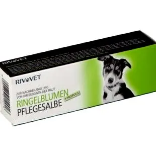 rivvet
