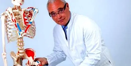 műízületek