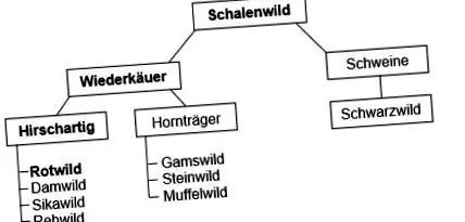 ausztria