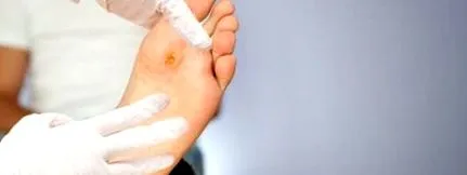 caracteristici caracteristici