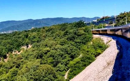 trenuri