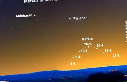 kommentált