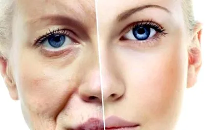 emberi test ifjúsági