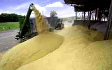 cererea