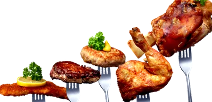 студијата