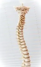 abdominale