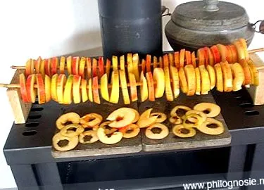 almagyűrűi