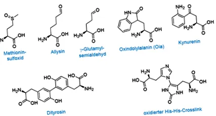 raport raport
