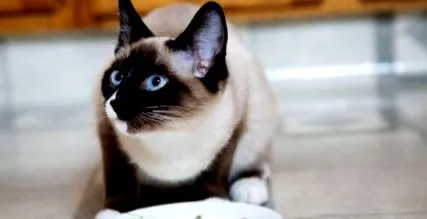 како