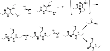 chimiei raport