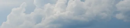 пилц