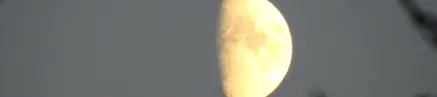 пилц