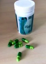 версия