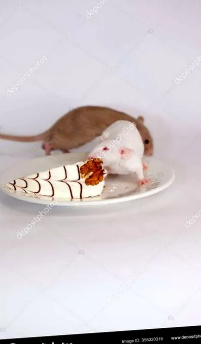 torta