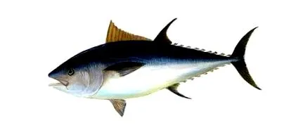 előnyei