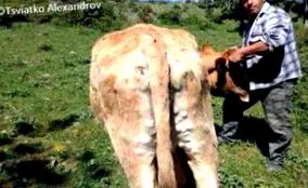 rögös bőrbetegségről