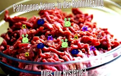 ugatásakor baktériumokról