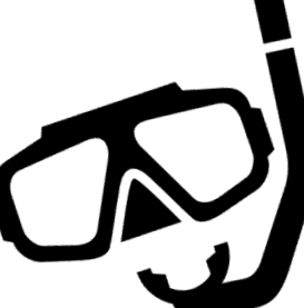 nasului nasului