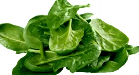 tipuri
