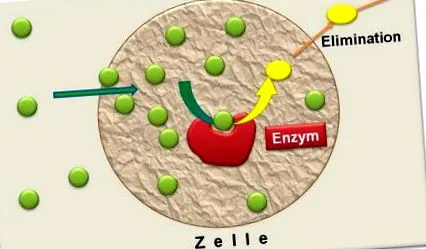 Ennek megfelelően