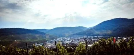 kerékpáros