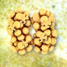 adipoase
