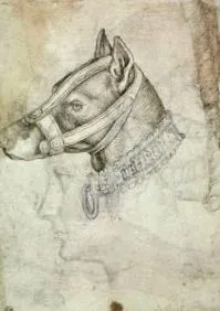 puterea