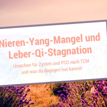 étrend segít szerint
